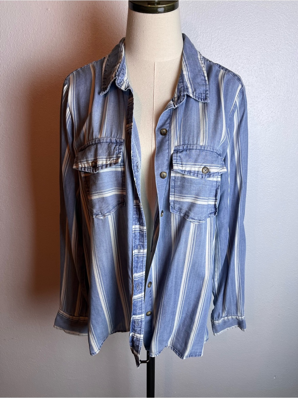 Billy T Striped Blue Button-Down Shirt - Women's Lightweight Shirt